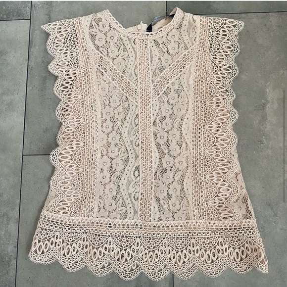 Zara Blush Pink/Beige Lace Cap Sleeves Floral Lace Doily Top, Small - Picture 4 of 13